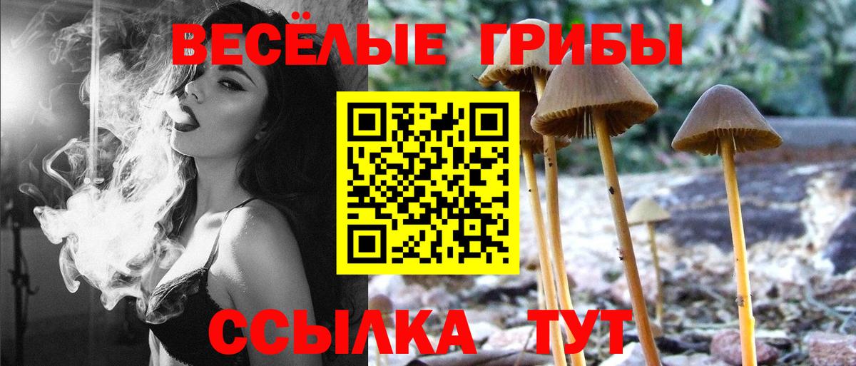 Псилоцибиновые грибы MAGIC MUSHROOMS Черногорск