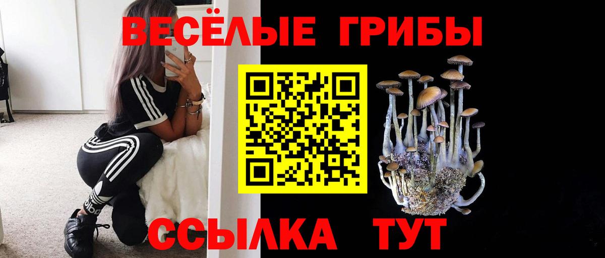 Галлюциногенные грибы Psilocybe  Вход с VPN  Черногорск 